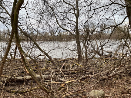 23-02-18 16-24-22 4277